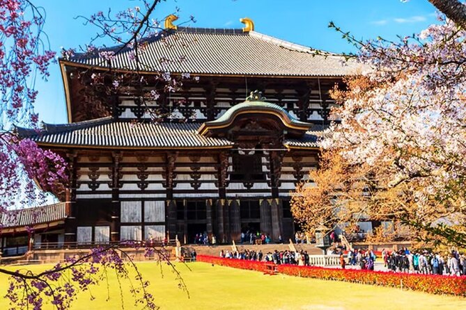Osaka: Nara, Todaiji, Uji Matcha, and Hot Spring Tour - Exploring the Tale of Genji Museum