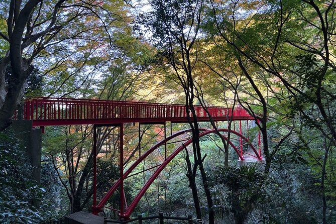 Overlooking the Magnificent View of Osaka - Navigating the Private Tour Experience
