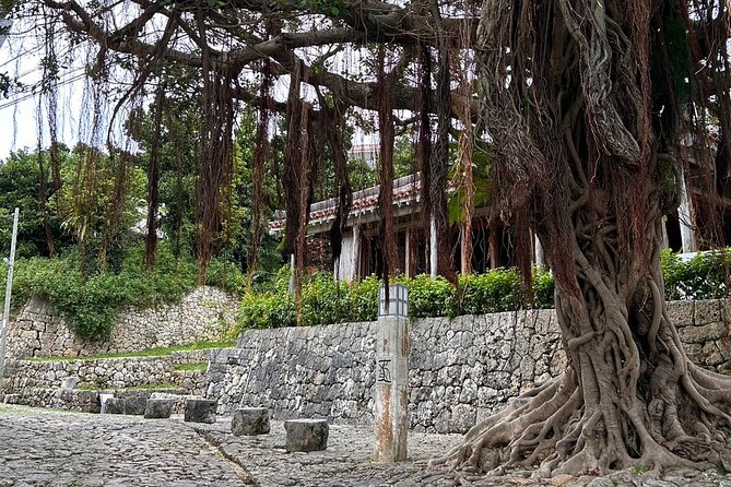 Phantom Cafe Tour in the Shuri by E-Bike - Phantom Cafes and Local Flavors