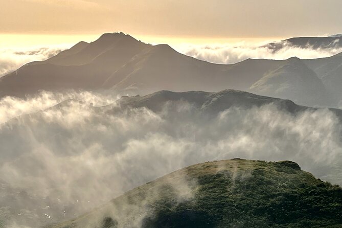 Picture Your Best SF Tour Ever! (Epic Bay Area Photo Adventures) - Personalized Attention From Local Guides