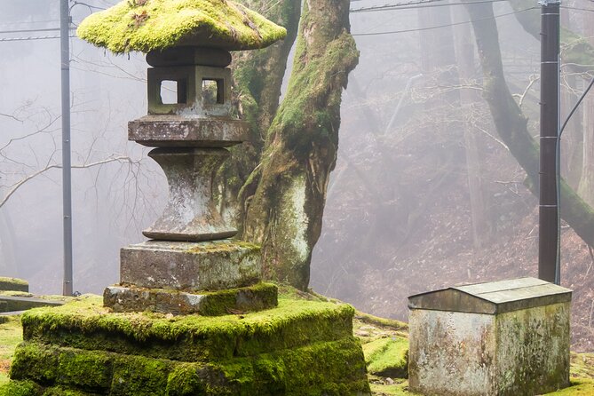 Private 1 Day Tour to Nikko: Onsen, UNESCO Shrines and Nature - Exploring Nikkos Renowned Shrines