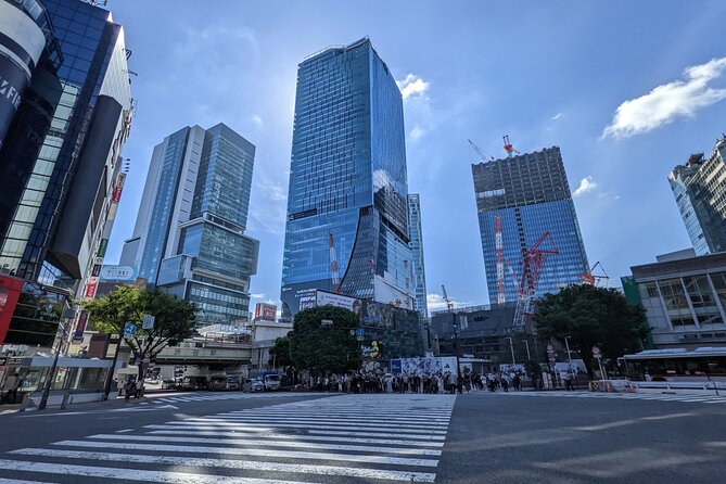 Private All Inclusive Neo Tokyo Tour on a Luxury Car - Immersive Cultural Experience