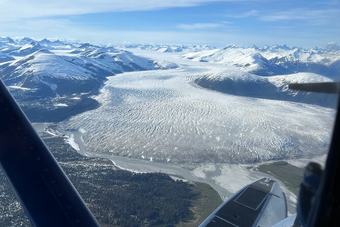 Private Bear Viewing By Seaplane - Tips for an Unforgettable Trip