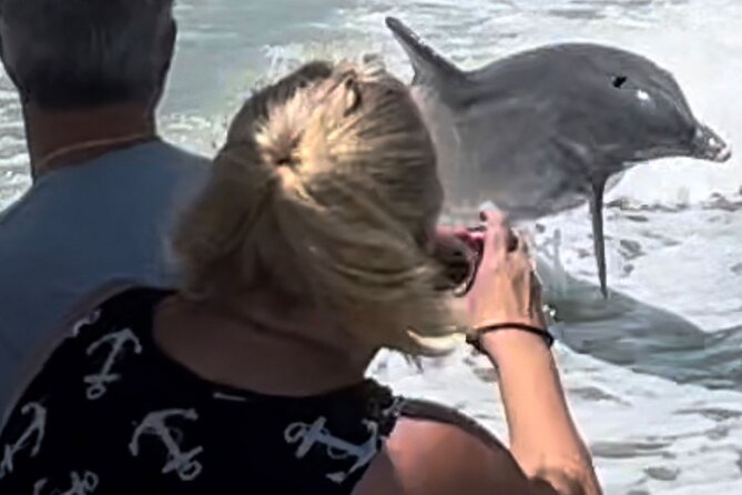 Private Best of Marco Island Dolphin Tour - Tips for a Memorable Dolphin Tour