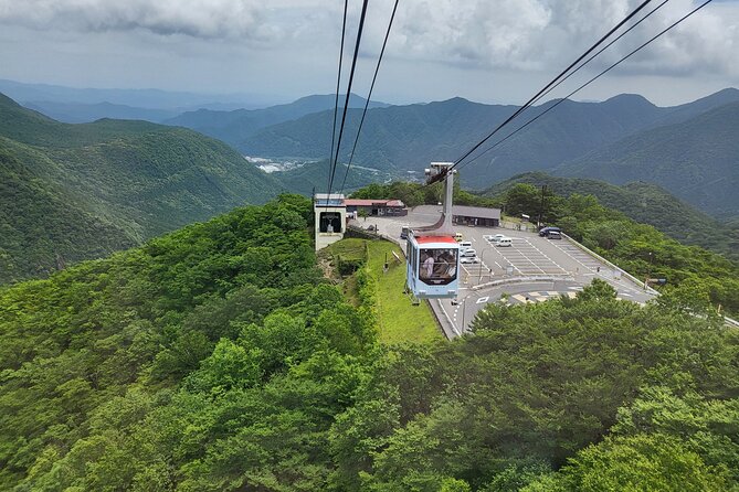 Private Car Nikkko Tour From Tokyo - Tour Availability