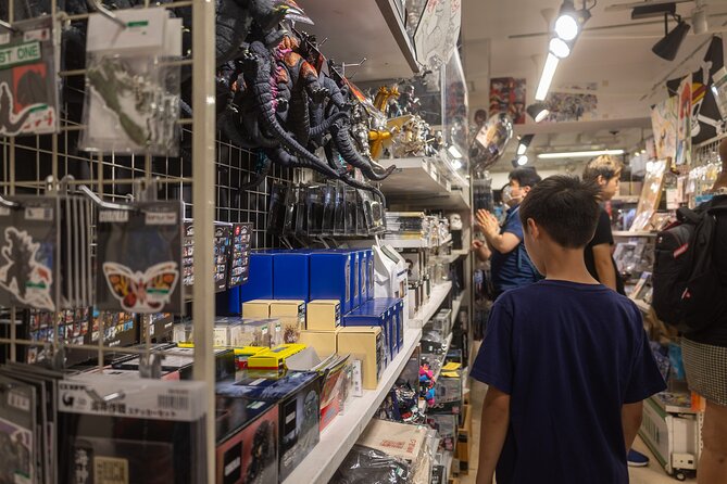 Private Car Tour Japanese History Visit, Buy Lots of Anime Goods - Exploring Japanese History