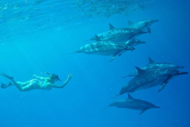 Private Charter: Customizable Big Island Boat Adventure - Important Considerations and Restrictions