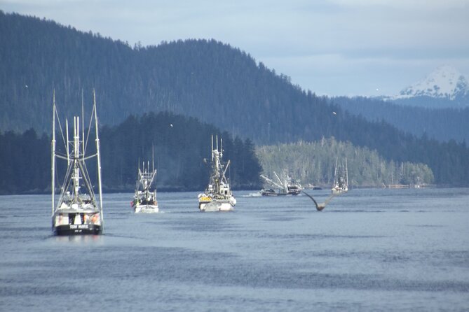Private Charter Scenic Wildlife Excursion for Cruise Passengers - Why Choose a Private Charter Experience