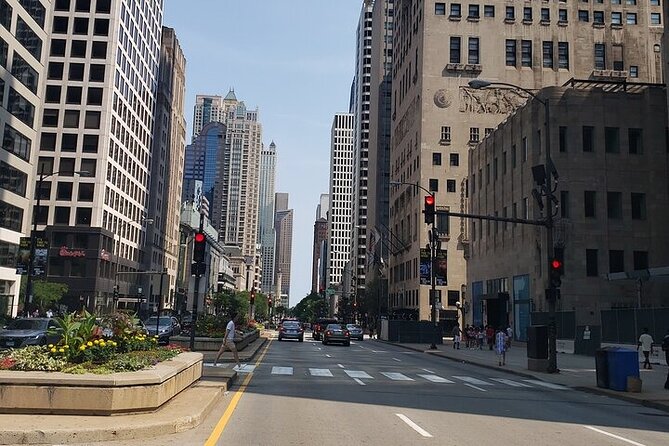 Private Chicago Scenic Driving Tour - Food Options During the Tour