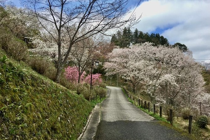 Private Full-Day Guided Tour in Yoshino, Japanese Mountain - Discovering Yoshinos Spiritual Heritage