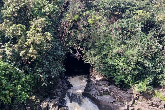 Private Hilo Shore Excursion Volcano National Park up to 14 - Customer Reviews and Ratings
