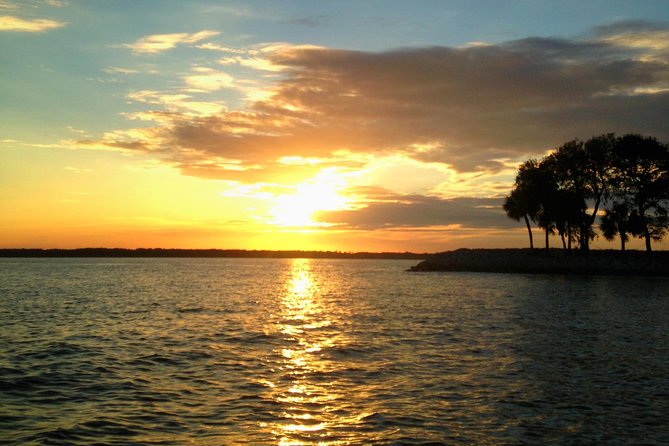Private Hilton Head Dolphin Tour - Customer Feedback and Recommendations