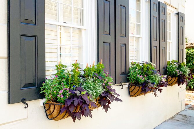 Private Historic Horse & Carriage Tour of Charleston - Accessibility and Participation