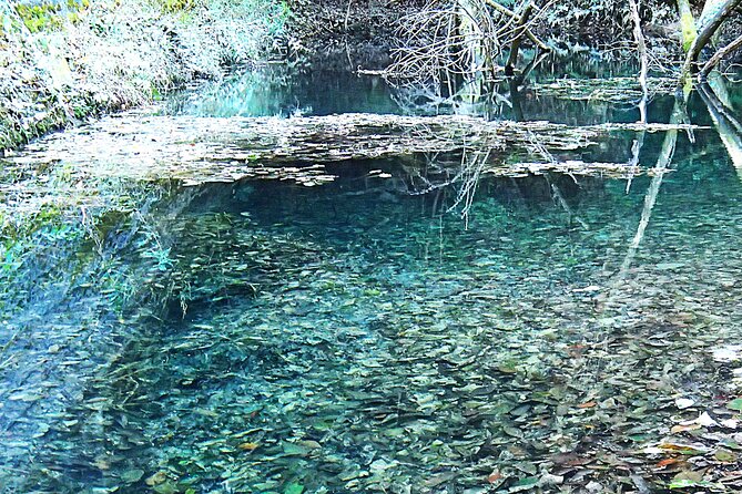 Private Historic Road Hike in the Healing Forest of Arima - Booking Information and Availability