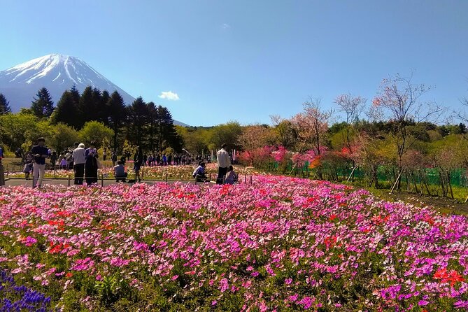 Private Mount Fuji Day Trip From Tokyo by Car - Booking Details