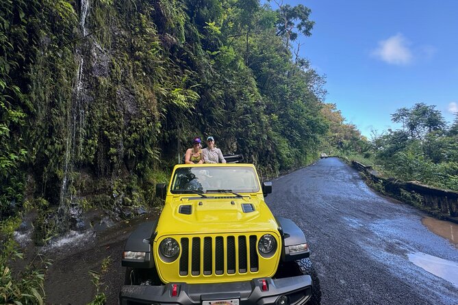 Private Road to Hana Maui Open-Air Jeep Tour - Accessibility and Participant Requirements