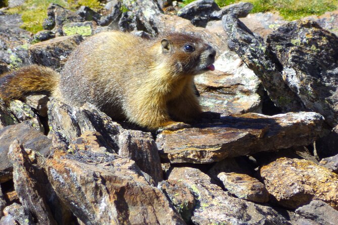 Private Rocky Mountain National Park 6 Hour Tour - Customer Reviews