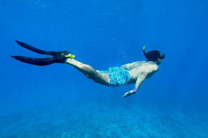 Private Snorkel With Beach Set-Up - Accessibility and Comfort Features