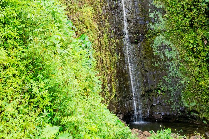 PRIVATE TOUR-Hike Diamond Head & Hawaiian Waterfall - Customer Reviews and Feedback