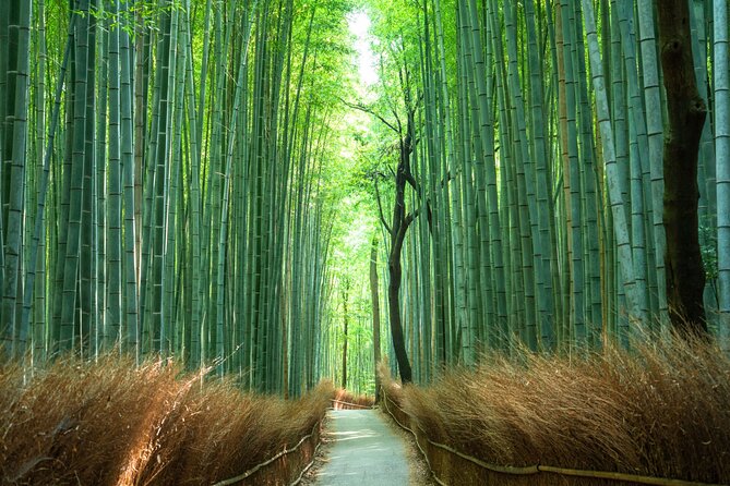 Private Tour to Arashiyama Monkey Park and Arashiyama Highlights - Meeting Point and End Location
