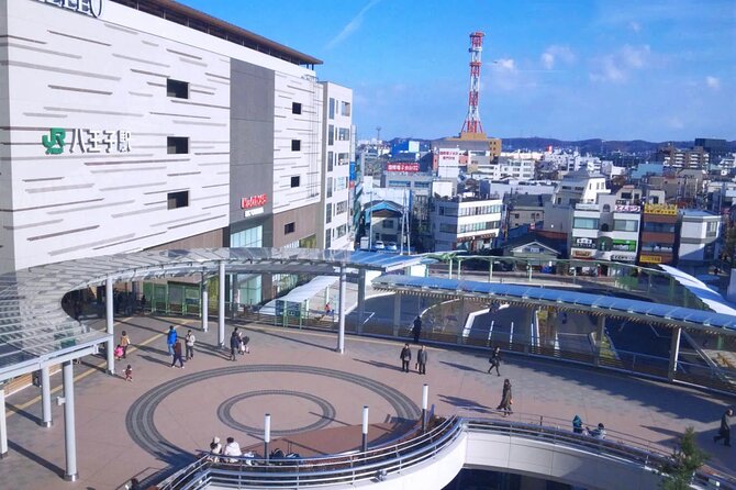 Private Transfer From Haneda Airport to Hachikō City, Japan - Preparation Tips for the Transfer