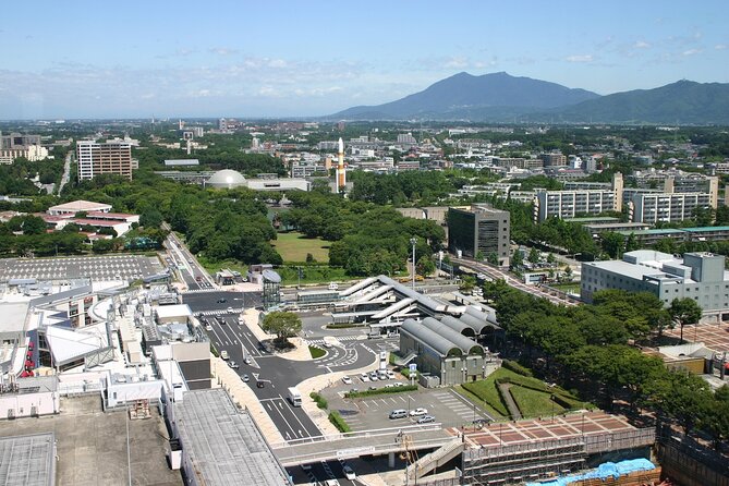 Private Transfer From Narita Airport to Ibaraki City Japan - Pricing and Payment