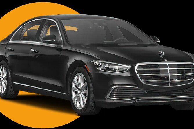 Private Transfer From Port of Miami to Miami and Fort Lauderdale - Accessibility and Special Accommodations
