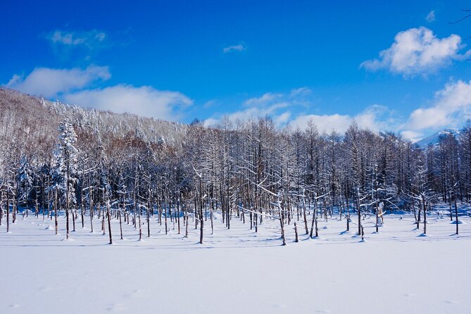 Private Transfer New Chitose Airport to Hokkaido Attractions - Booking and Cancellation Policy
