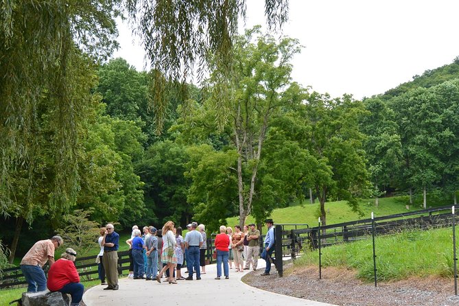 Private Walking Tour of a Real Working Cattle Ranch - Post-Tour Relaxation in the Picnic Area