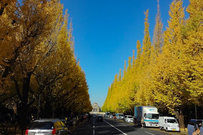 Red, Yellow and Brown - Visit Autumn Leaves Spots in Tokyo - Discover the Beauty of University of Tokyo