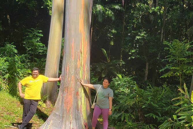 Road to Hana Full Day Tour With a Guide - Customer Reviews and Recommendations