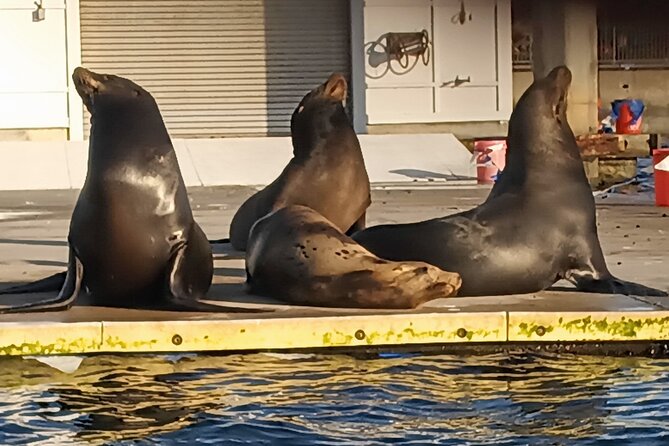 Romantic Luxury Boat Cruise With Wine Cheese Sea Liontours - Accessibility and Family-Friendly Options