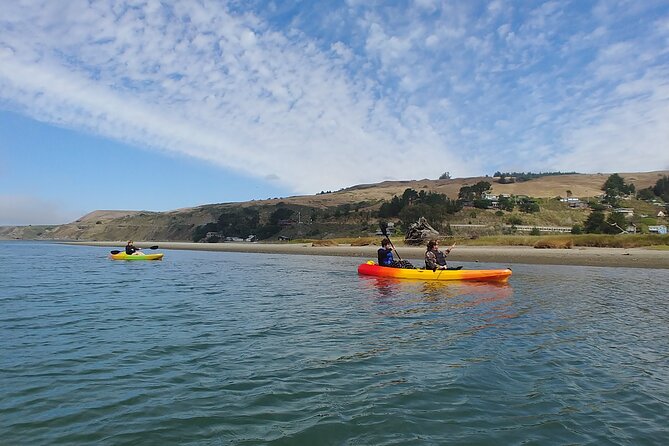 Russian River Kayak Tour at the Beautiful Sonoma Coast - Exploring the Rugged Coastline