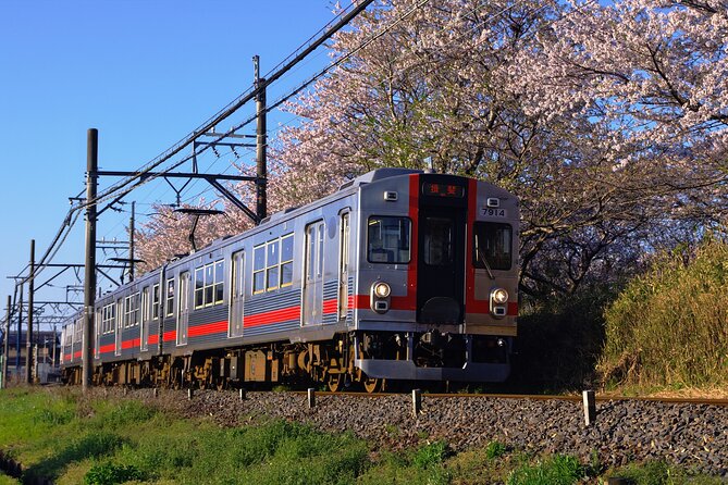 Sakura 1 Day Tour With Charter Train and Boat From Nagoya - Sailing the Kiso River