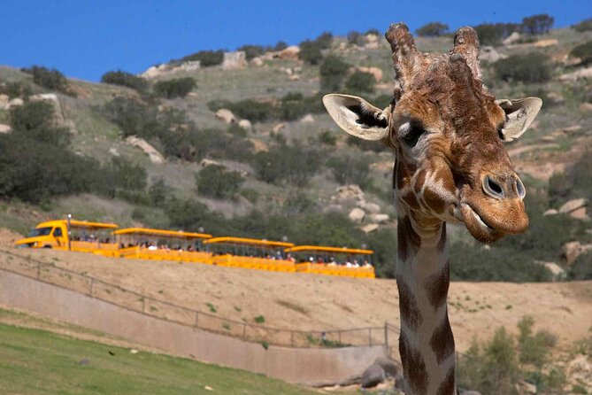 San Diego Explorer Pass: Save up to 50% - Includes San Diego Zoo - Support and Contact Information