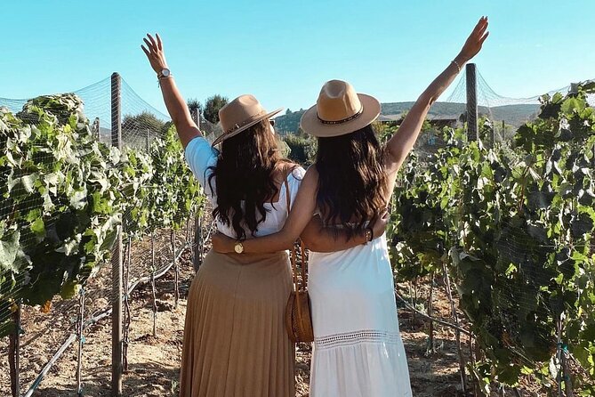 San Diego >>Valley of Guadalupe/Four Fours/Sky Vineyard - Wine Tasting Experiences