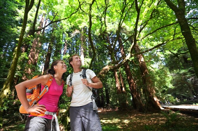 San Francisco: Full Day Coastal Redwoods & Wine Country Tour - Pricing and Booking Details