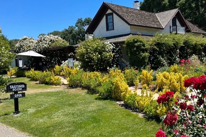 Santa Barbara Wine Country Vineyard & Village Tour - Taking in the Local Culture