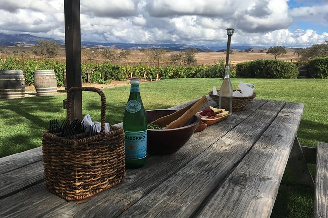 Santa Ynez Valley Biking and Wine Tasting Tour - Discovering the Local Wineries