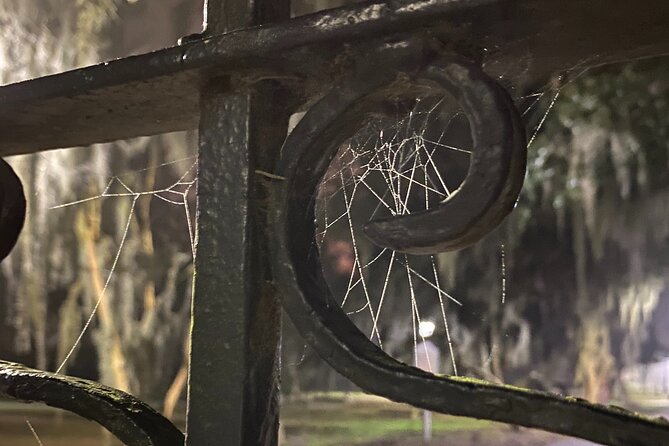 Savannah Ghost Tour for Adults ALL Alcoholic Drinks Included - Accessibility and Safety Considerations