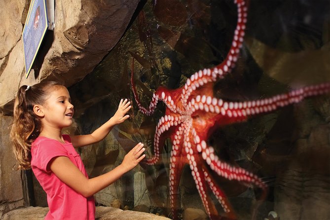 SEA LIFE San Antonio Admission Ticket - Additional Information and Tips
