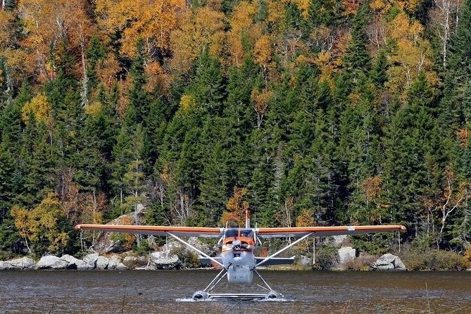 Seaplane Fly & Dine Rangeley Maine - Scenic Views and Wildlife Sightings