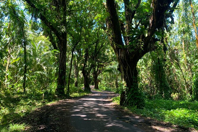 Secret Jungle Tide Pool Hike - Private - Traveler Experiences and Feedback