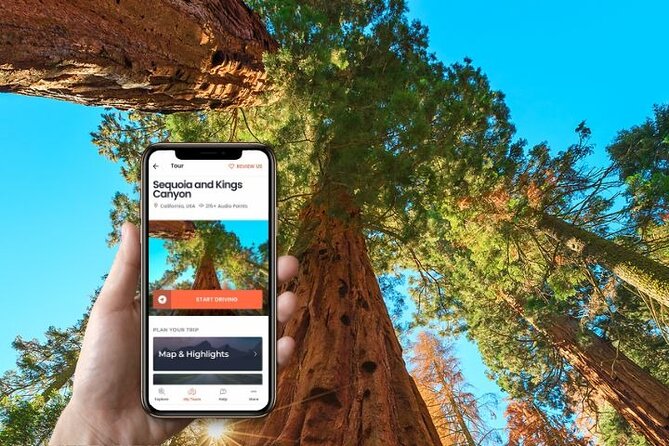 Self-Guided Audio Driving Tour in Sequoia and Kings Canyon - Tips for an Enjoyable Experience