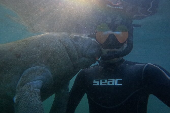 Semi-Private Manatee Snorkeling With in Water Guide - Comprehensive Gear and Refreshment Inclusions