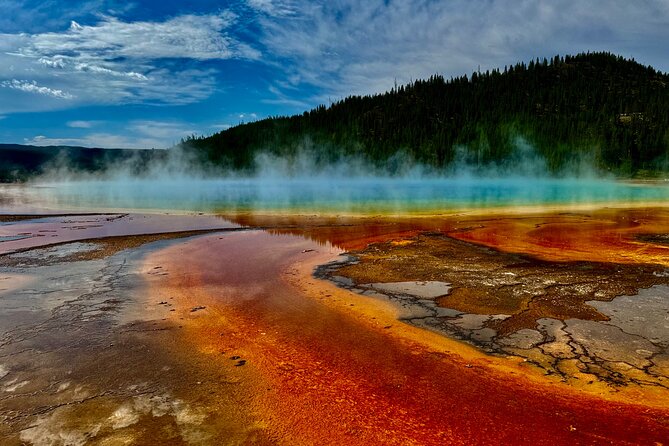 Seniors Special May 2025 Yellowstone Lower Loop West Yellowstone - Guest Reviews and Experiences