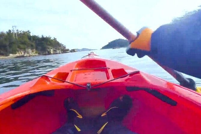 Setouchi Sea Kayak Private Adventure and Hidden Islands - Glimpse of the Hidden Islands