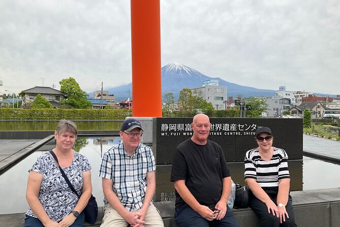 Shizuoka 6hr Private Tour and Japanese Tea Farm Tour With Vehicle - Taking in Japanese Tea Culture