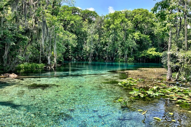 Silver Springs Premium Florida Manatee & Wildlife Experience - Cancellation Policy