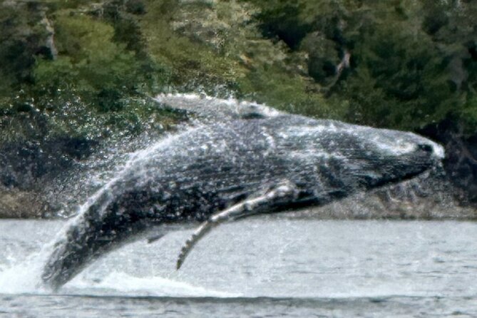Small Group Boat Tour of Sitka - Engaging With Local History and Culture